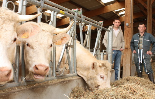 L’avantage fiscal et social relatif aux stocks de vaches effectif, et rétroactif à 2024.