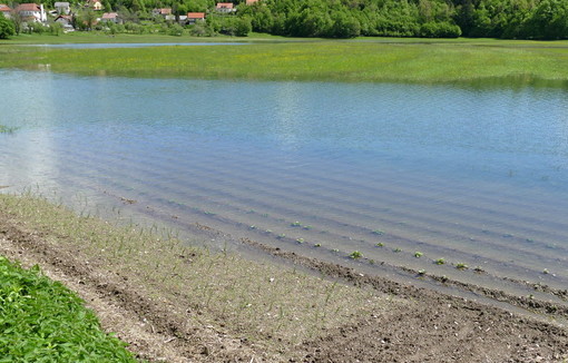 champ inondé