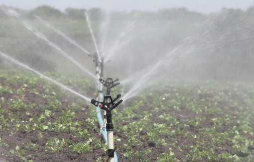 Varenne agricole de l’eau : l'agriculture et l'écologie main dans la main