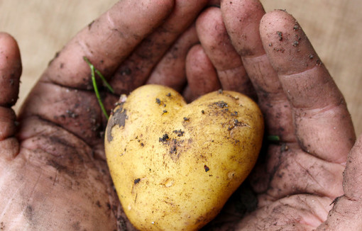 Lancement de l’opération « J’aime mes agriculteurs ! »