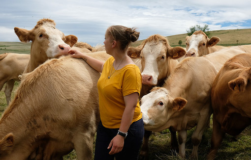 Qui sont les femmes non-salariées agricoles ?