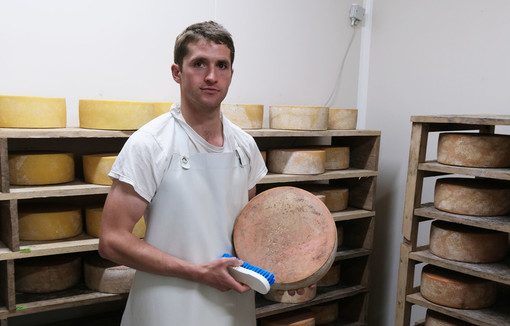 Rémi Janssen brosse une tomme de vache. 