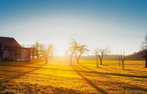 Les chambres d’agriculture ont du pain sur la planche en 2021  