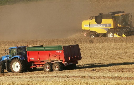 Moisson 2021 : des estimations de production de blé en forte hausse