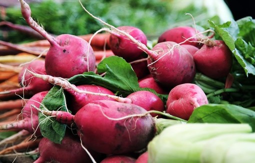 Radis et carottes sur l'étal d'un marché.