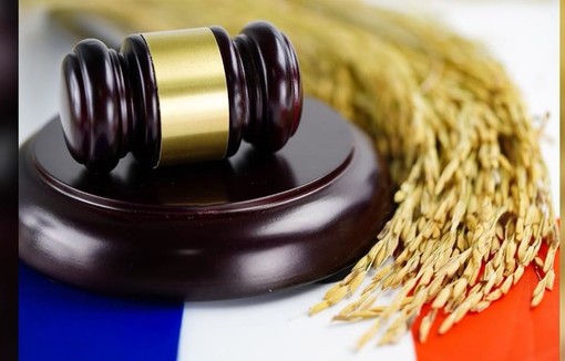 Le Conseil constitutionnel a jugé nécessaire de censurer a censurer 14 articles en intégralité et trois articles de manière partielle.