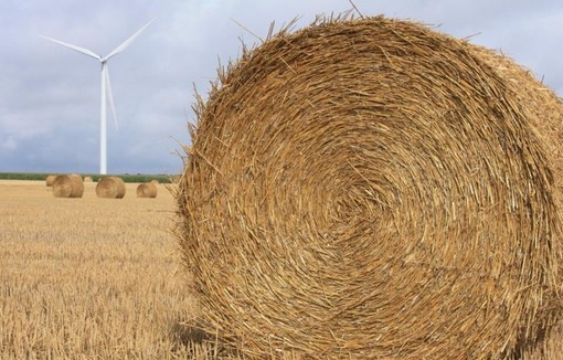 COMMUNIQUE DE PRESSE CONJOINT FRANCEAGRIMER/ARVALIS/TERRES INOVIA : QUALITÉ DE LA RÉCOLTE 2025 DES CÉRÉALES À PAILLE, COLZA ET PROTÉAGINEUX 