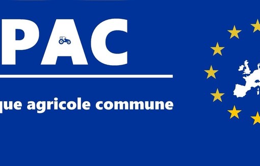Stratégie européenne pour la Pac post-2027.