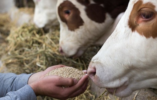 13ème convention annuelle sur le thème : «En avant pour une souveraineté durable de l’élevage européen !»