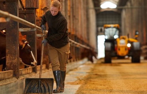 Dernière publication Infostat de la Mutualité sociale agricole (MSA) dresse un panorama de leur situation en 2024.