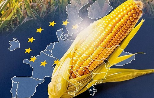 Les craintes de l’AGMP sur un élargissement à l’Ukraine.