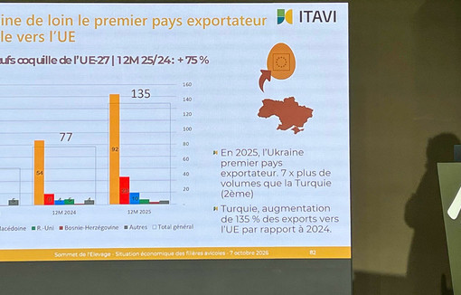 SOMMET : Situation économique des filières avicoles. 7 octobre 2026