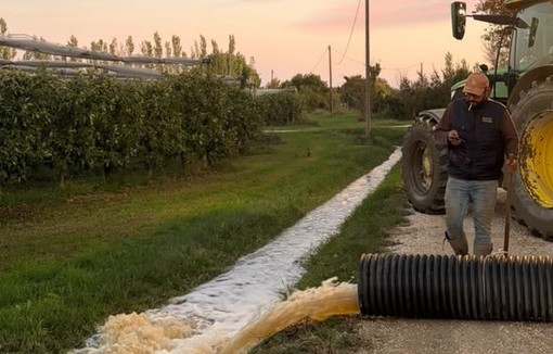 Évacuation des eaux sur l'exploitation. Crédit : Lugdivine Mannoni