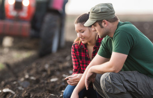 Deux jeunes agriculteurs regardent la terre dans un champ, avec un tracteur en fond.