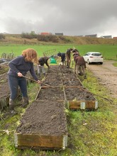 Semis des palettes de culture pour le pôle végétal