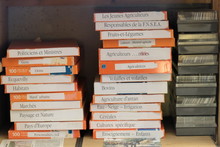 Les archives s'accumulent sur les étagères du bureau de Pierre Collombert. 