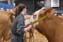 Agriculteurs et bêtes sont au rendez-vous de cette 6àème édition. 