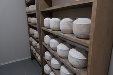 Fromages en court d'affinement. 