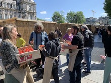 Opération « Fraises de Carpentras »