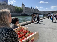 Opération « Fraises de Carpentras »