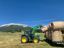 Moisson du sainfoin (Pelleautier, 05) 