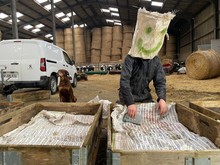 Semis des palettes de culture pour le pôle végétal