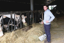 Rémi Janssen et ses vaches laitières.