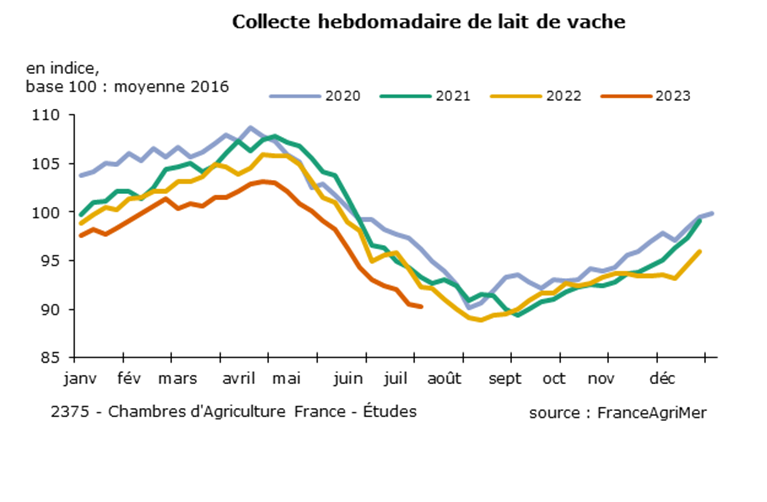 Collecte hebdomadaire de lait de vache. 