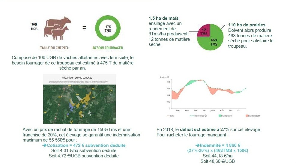 Groupama assure les éleveurs pour leur production fourragère. Chiffres et statistiques à propos de l'assurance du fourrage.