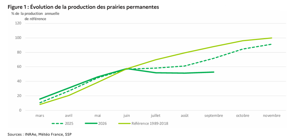 Évolution de la production des prairies permanentes 