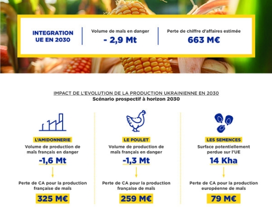 L'intégration de l'Ukraine à l'UE changerait d'échelle la carte agricole du continent, selon l'AGMP.