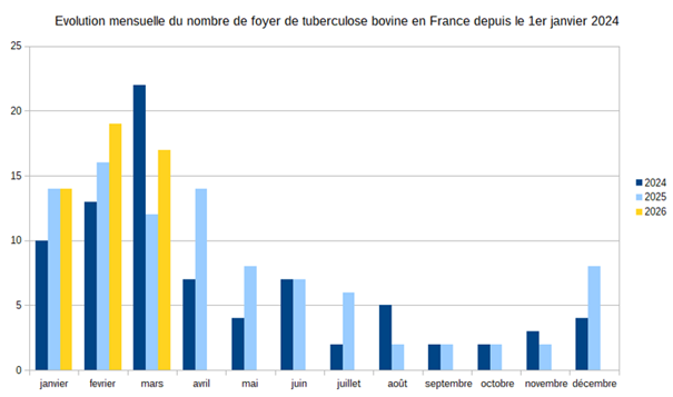 Graphique en barres présentant l’évolution mensuelle du nombre de foyers de tuberculose bovine en France à partir du 1er janvier 2024. 